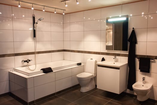 Beautiful Large Modern Trendy Design Bathroom in Luxury Home 