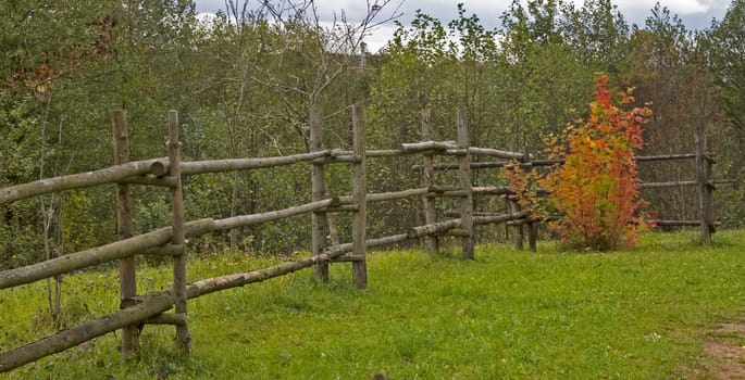 Autumn rural landscape with fence and multicolored bush