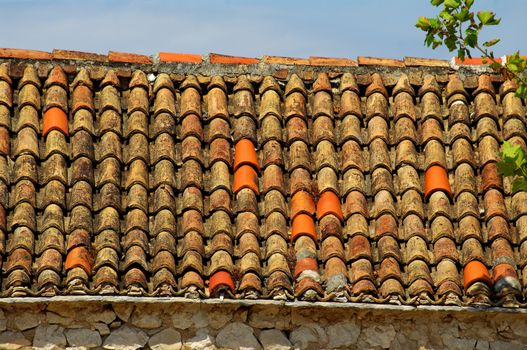 Roof in need repair. Singles are badly worn and should be replaced.