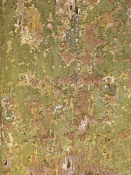 View of a old weathered wall in a close-up image.