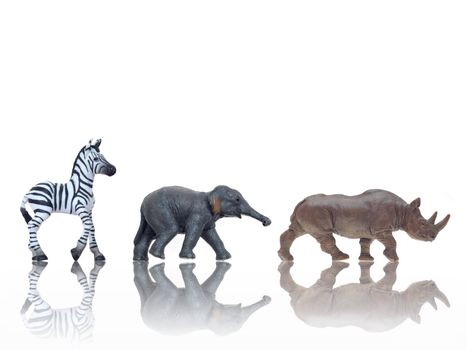 Toy animals isolated against a white background
