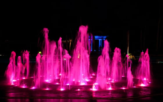 Fountain with pink  and blue lights at night