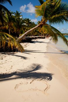 Saona island beach palm with white sand and heart on it