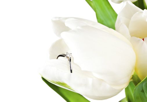 White spring tulip with diamond ring