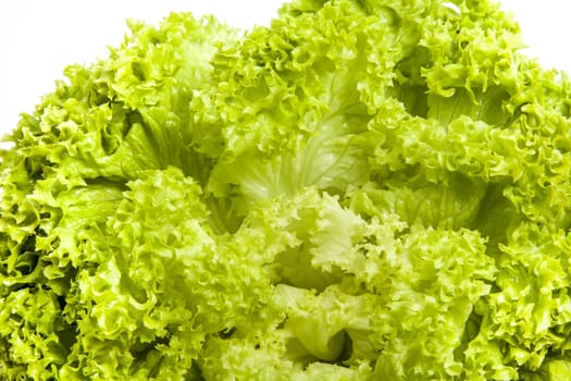 Fresh green salad lettuce leaves close view