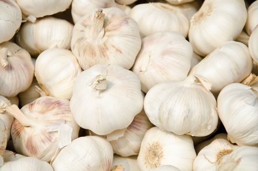 close up of garlic on market.