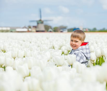 Cute Boy between of the white tulips field