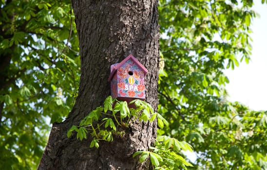 Pink nesting box on chesnut tree