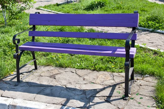 Violet bench in park