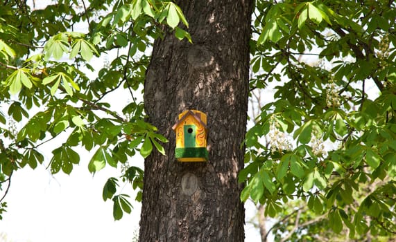 Yellow nesting box on chesnut tree