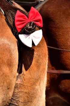 Knotted horse tail adorned with white and red bows