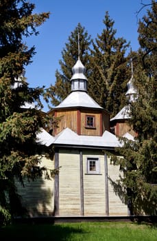 Ancient wooden church and pine tree