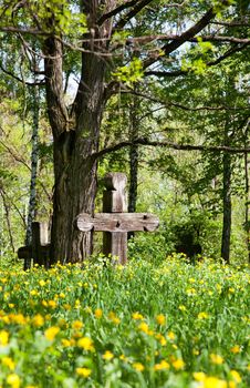 Wooden cross in summer field