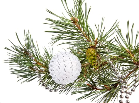 Fir tree branch with white Christmas ball on white background