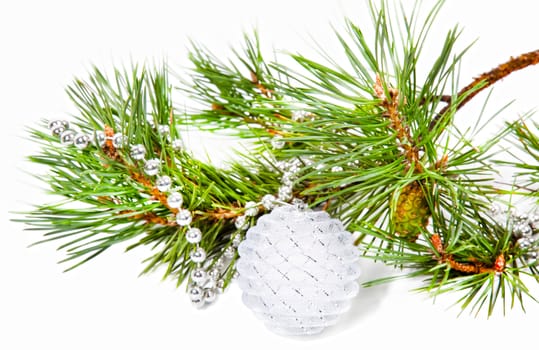 New Year composition with fir tree branch and white ball isolated on white