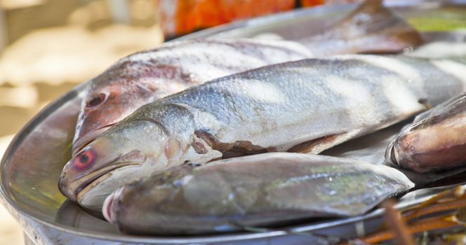 horizontal shot of fresh sea fish on a silver platter display on a able in the shade of a tree outdoors. Generic shot location was Goa India and fish believed to be sea bass, pomfret and soumi