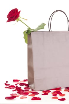Rose in a bag