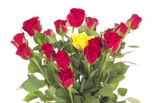 Bunch of roses