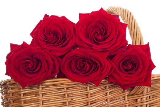 Roses in a basket