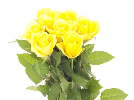 Bunch of roses