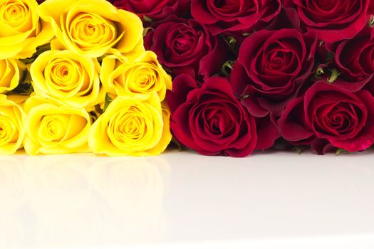 Closeup of roses