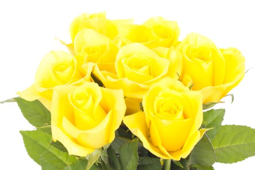 Bunch of roses