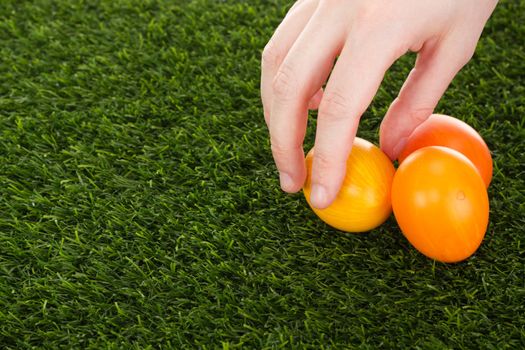 Easter eggs in grass