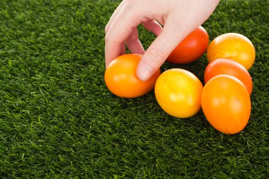 Easter eggs in grass