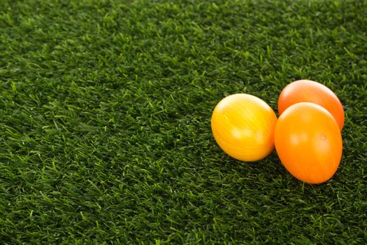 Easter eggs in grass