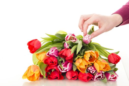 Bunch of tulips