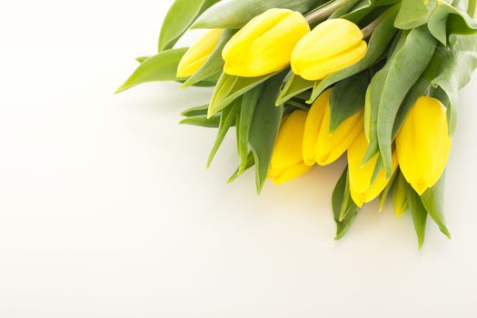 Bunch of tulips