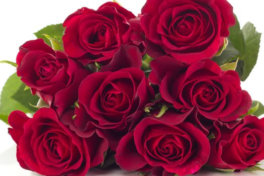 Bunch of roses