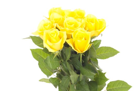Bunch of roses