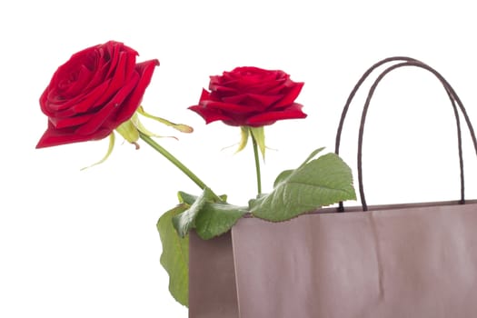 Roses in a bag