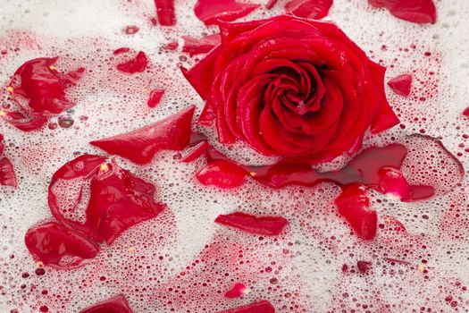 Bath water with rose petals