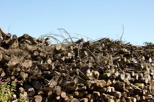 Pack of wood