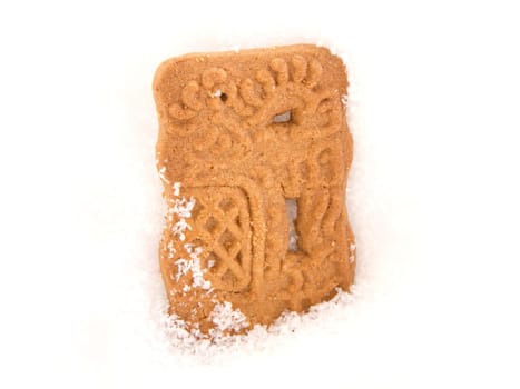 Speculoos in snow