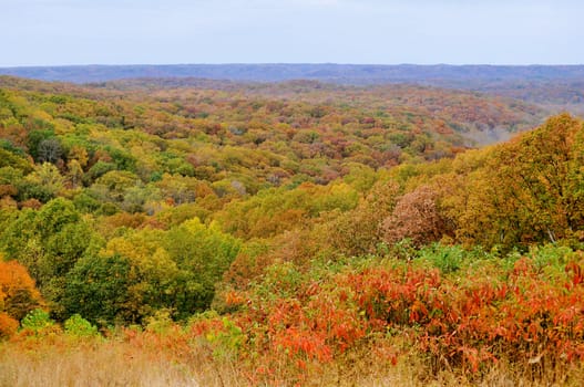 Brown County State Park