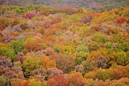 Brown County State Park