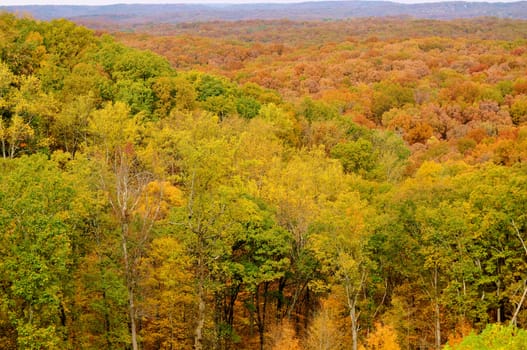 Brown County State Park