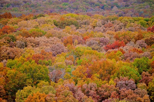 Brown County State Park