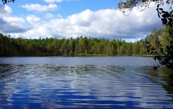 Lake and trees on a background of the blue sky