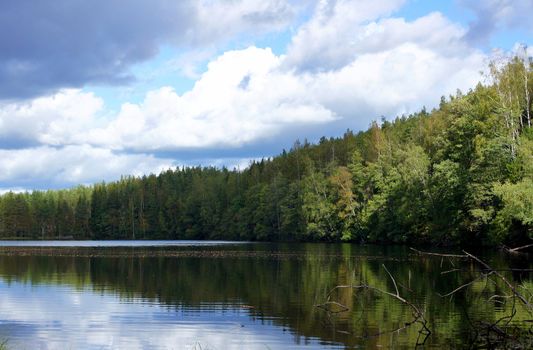 Lake and trees on a background of the blue sky