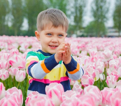 Cute little boy in pink tulips field
