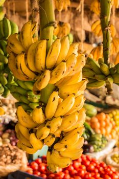 Ripe and green banana bunch hanging at a local vegetable market in Kenya, Nairobi