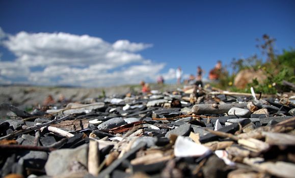 Beach filled with stones and shells captured from a very low angle
