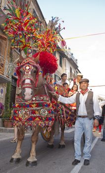 POLIZZI GENEROSA, SICILY - AUGUST 19:Folkloristic parade of traditional horse-cart in Sicily during the "Festival of hazelnuts",launch of hazelnuts: August 19, 2012 in Polizzi Generosa,Sicily, Italy