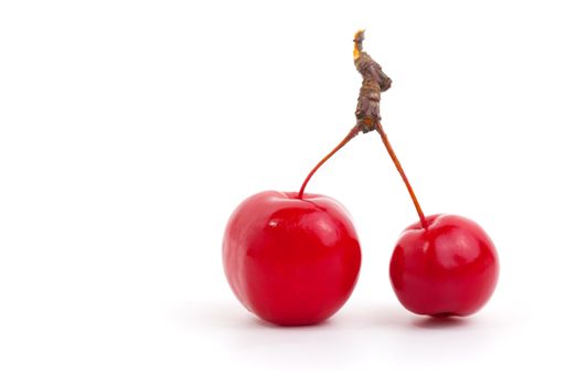Chinese cherry apples, isolated on white background.