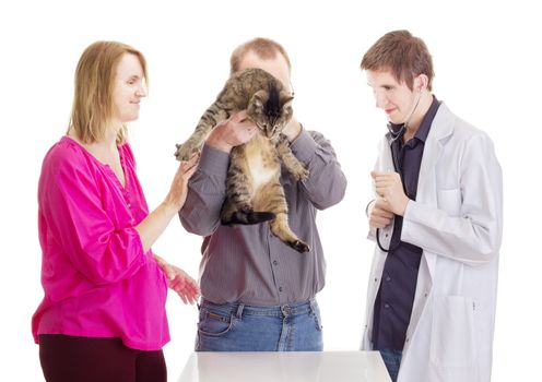 People at veterinary physician
