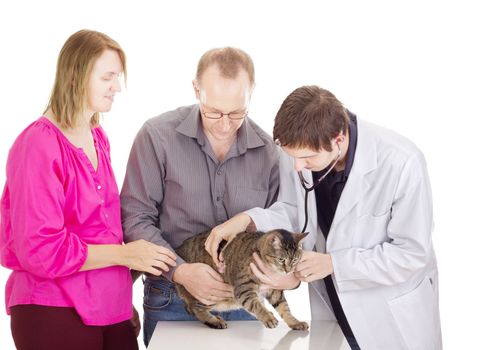 People at veterinary physician